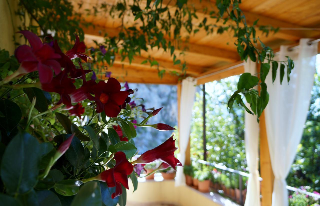 B&B Lo Sparviero Civita Esterno foto